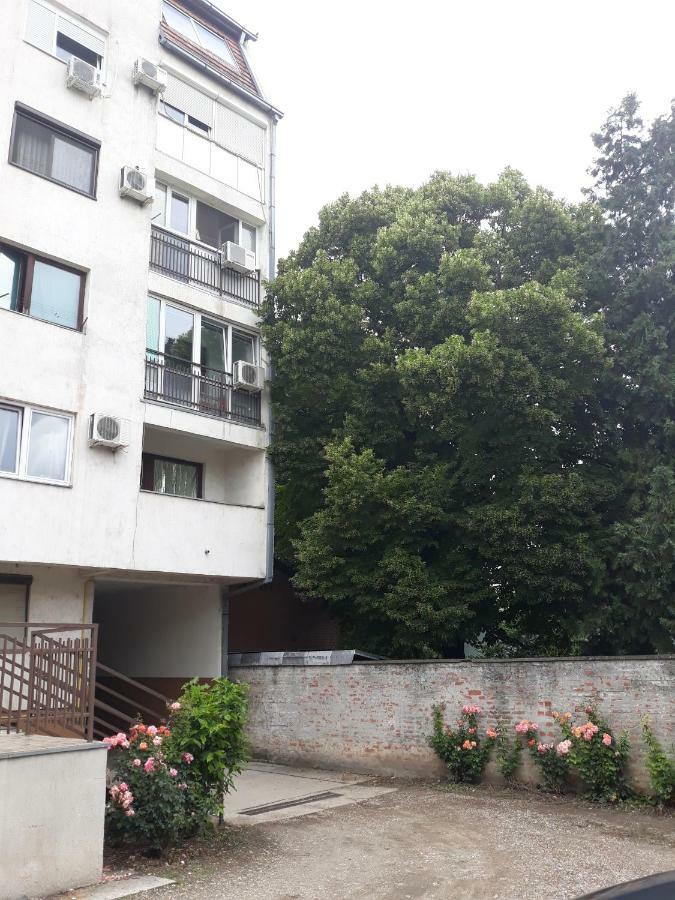 Hann Apartments Nowy Sad Zewnętrze zdjęcie